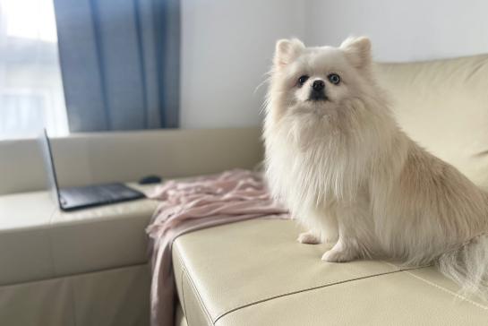 Povarovo Village — фото-444_2