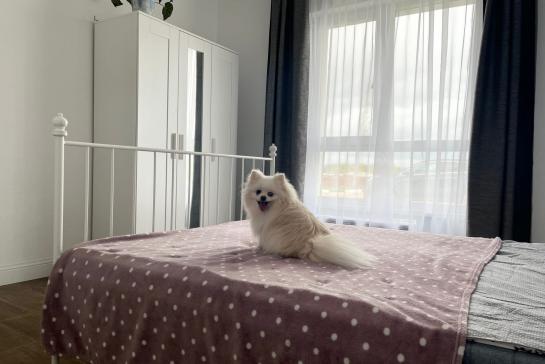 Povarovo Village — фото-444_9